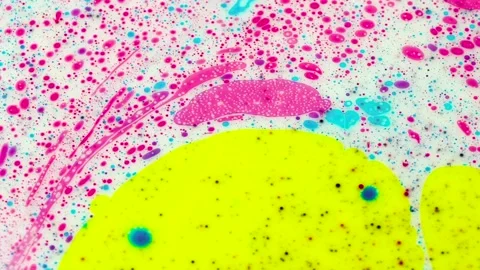 Microscope scientific view simulation with ink recreation of cells and blood Video stock 170120945