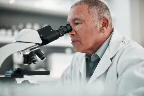 Microscope, senior man and science with research, medical and data analysis with Stock Photos