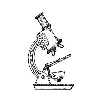 Microscope sketch. Laboratory magnifying research tool line art. Hand drawn.. Illustrazione stock