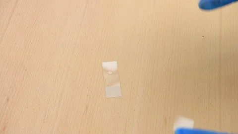 Microscope slide Stock Footage 311828107