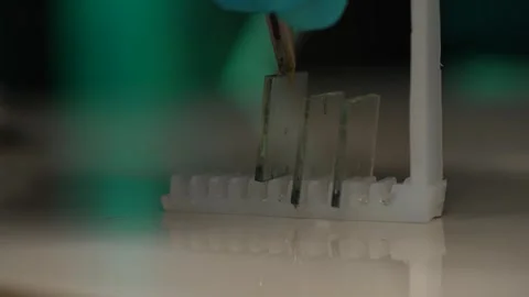 Microscope slide. Stock Footage 328355038