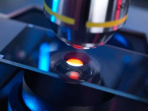 Microscope slide Stock Photos