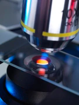 Microscope slide Stock Photos