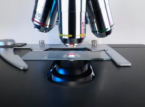 Microscope slide Stock Photos