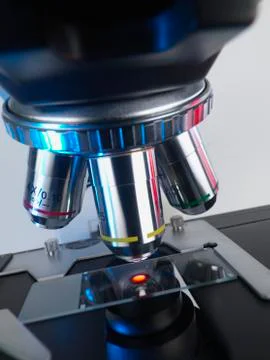 Microscope slide Stock Photos