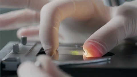 Microscope Slide Preparation in Professional Biological Laboratory Research Set 库存影片 331110523