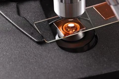 Microscope slide with red liquid. 스톡 사진