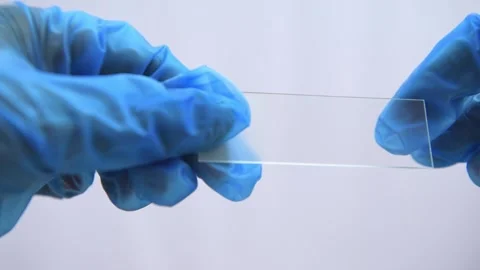 Microscope slides Stock Footage 311827956