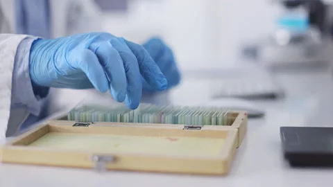 Microscope slides, science and hands with gloves working on dna research, test Stock Footage 231680786