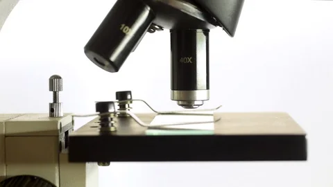 Microscope stage moving up, until it touches the microscope lens Stock Footage 92263809