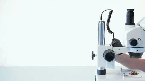 Microscope technician Stockbeeldmateriaal 11422688