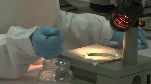 Microscope in technology laboratory 動画素材 40122451