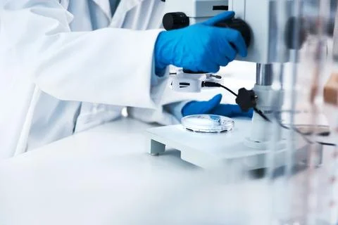 Microscope, test and hands of scientist with petri dish in lab with person to Foto stock