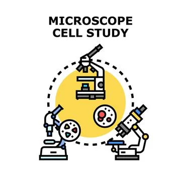 Microscope tools analyzing biology, science, and research studies Stock Illustration