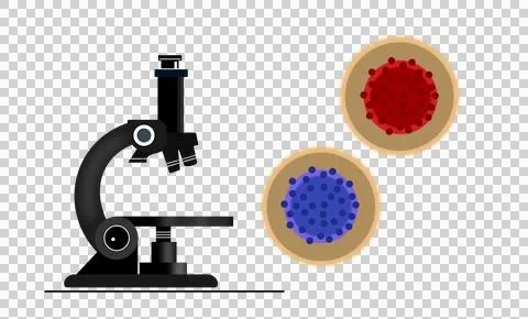 A microscope with two stylized virus or cell structures in red and blue Stock Illustration