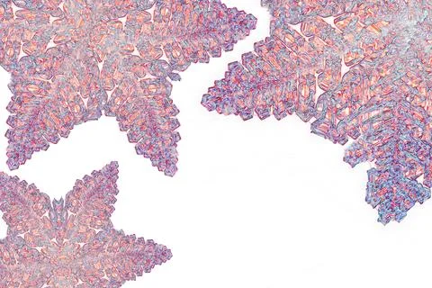 Microscope view of colorful leaf like structures on a white background Stock Photos