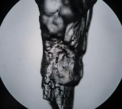 Microscope view of a crystal. Raw pharmaceutical material and science technology 스톡 사진