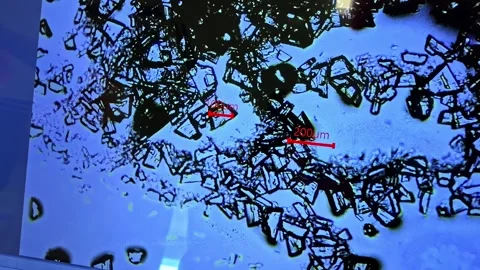 Microscope View of Crystalline Particles With Measurement Scale Stock Footage 341542841