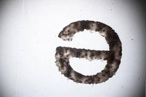 Microscope view of a dark porous sample shaped like. Stock Photos