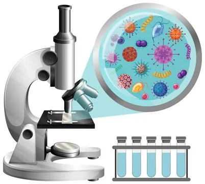 Microscope view germs and virus Stock Illustration