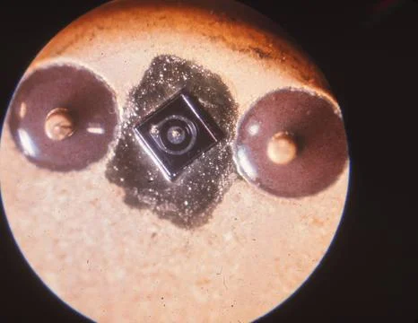 Microscope view of a metal can transistor Stockfoto's