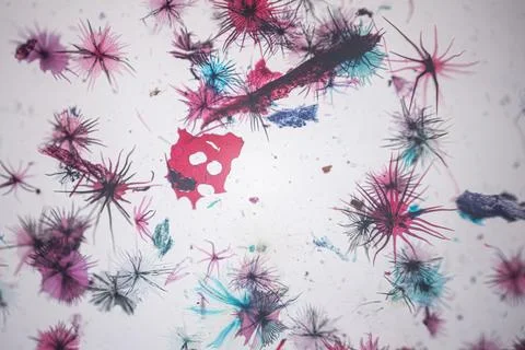 Microscope view of pink, blue and dark star-shaped. Stock Photos