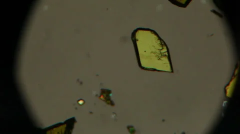 Microscope viewing Stock Footage 36637089