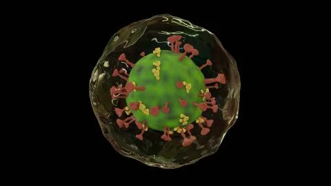 Microscope virus close up concept art . Pathogenic viruses causing infection  Stock-Fotos