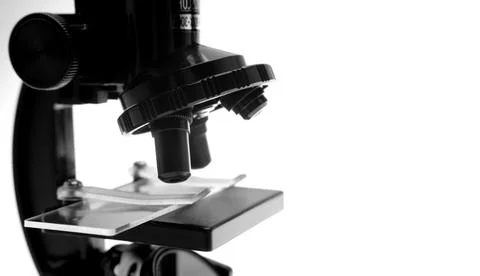 Microscope on white. Copy space Stock Photos