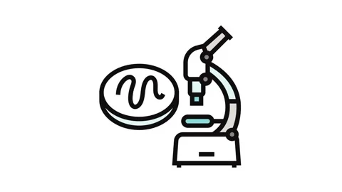 Microscope worm parasite color icon animation Video stock 326110150