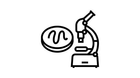 Microscope worm parasite line icon animation Stock-Footage 326127322