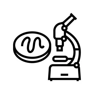 Microscope worm parasite line icon vector illustration Stock Illustration