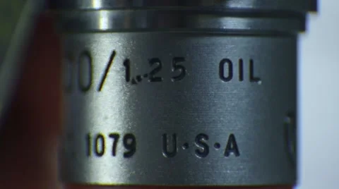 Microscopes Alternating Stock Footage 47298365