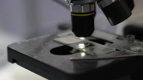 Microscopes and digital imaging systems analyzing samples in laboratory. Stock Photos