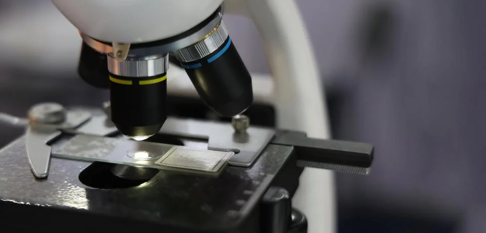 Microscopes and digital imaging systems analyzing samples in laboratory. Stock Photos