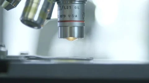 Microscopes in a Biology Lab Vídeo Stock 47298473
