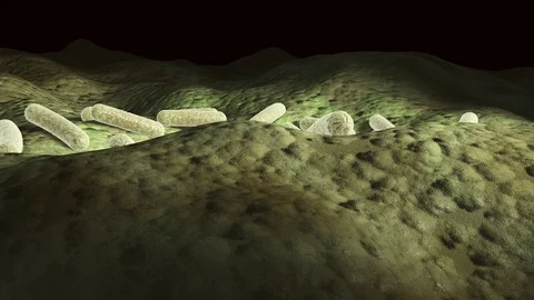 Microscopic 3d animation of bacteria on a surface, 360 degree loop video Stock Footage 87687339