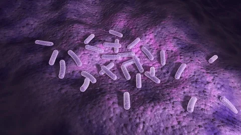 Microscopic 3d animation of bacterial infection camera randomly zooming in 库存影片 87072402