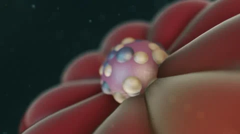 Microscopic abstract background 05 Stock Footage 22425390