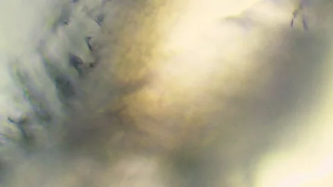 Microscopic Abstract Background 1 Stock Footage 153450834