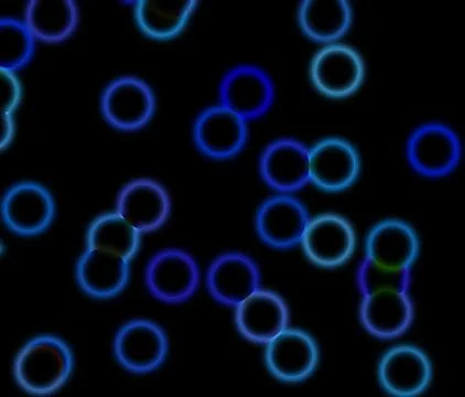 Microscopic abstract background with black and blue cells going around Stock Illustration