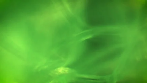 Microscopic Abstract Background - Velcro 02 Stock Footage 153450986