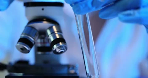 Microscopic analysis of bacteria from a sample in test tube Stock Footage 276213959