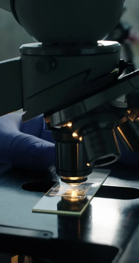 Microscopic Analysis of Samples in Laboratory Setting Stock Footage 300468982