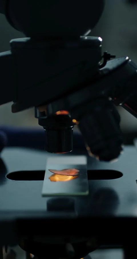 Microscopic Analysis of Samples in Laboratory Setting Stock Footage 300468986