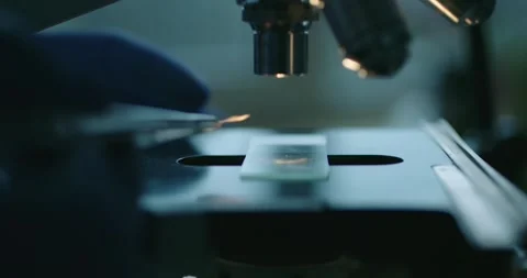Microscopic Analysis of Samples in Laboratory Setting Stock Footage 300468994