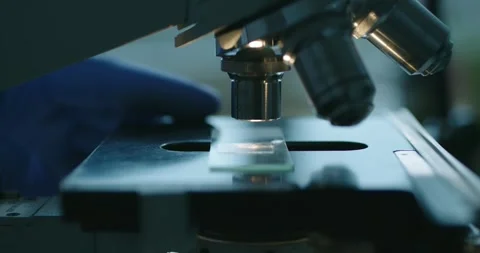 Microscopic Analysis of Samples in Laboratory Setting Stock Footage 300469000