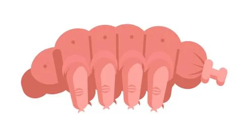 Microscopic animal tardigrade Stock Illustration