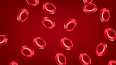 Microscopic Animation of Red Blood Cells Falling on a Crimson Background Stock Footage 342102070