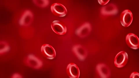 Microscopic Animation of Red Blood Cells Falling Through a Vein Stock Footage 342470669